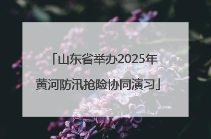 山东省举办2025年黄河防汛抢险协同演习