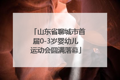 山东省聊城市首届0-3岁婴幼儿运动会圆满落幕