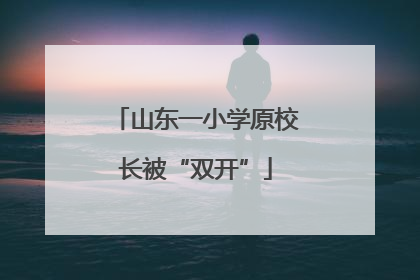 山东一小学原校长被“双开”