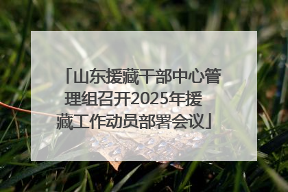 山东援藏干部中心管理组召开2025年援藏工作动员部署会议
