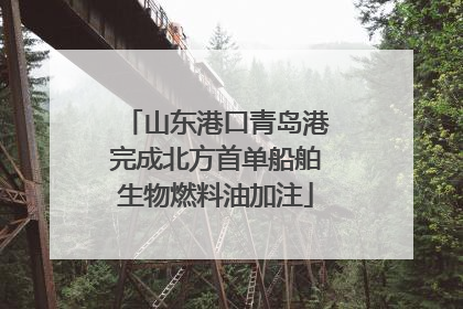 山东港口青岛港完成北方首单船舶生物燃料油加注