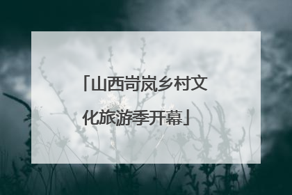 山西岢岚乡村文化旅游季开幕