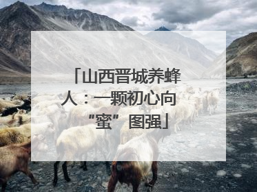 山西晋城养蜂人：一颗初心向“蜜”图强