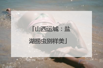 山西运城：盐湖捞虫别样美