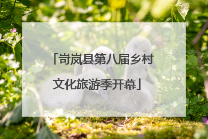 岢岚县第八届乡村文化旅游季开幕