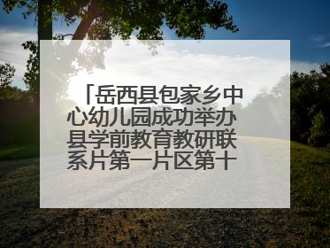 岳西县包家乡中心幼儿园成功举办县学前教育教研联系片第一片区第十三次专题研讨会