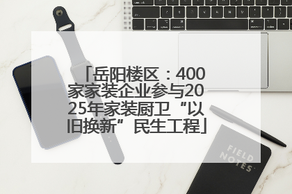 岳阳楼区：400家家装企业参与2025年家装厨卫“以旧换新”民生工程
