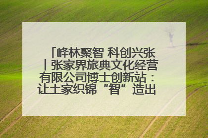 峰林聚智 科创兴张丨张家界旅典文化经营有限公司博士创新站：让土家织锦“智”造出非遗新传奇