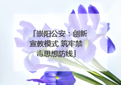 崇阳公安：创新宣教模式 筑牢禁毒思想防线