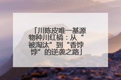 川陈皮唯一基源物种川红橘：从“被淘汰”到“香饽饽”的逆袭之路
