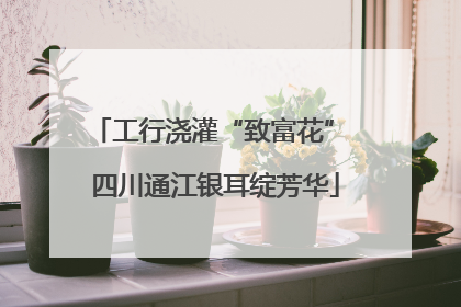 工行浇灌“致富花” 四川通江银耳绽芳华
