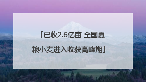 已收2.6亿亩 全国夏粮小麦进入收获高峰期