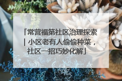 常营福第社区治理探索｜小区老有人偷偷种菜，社区一招巧妙化解