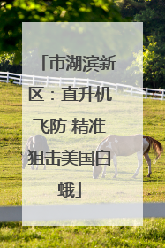 市湖滨新区：直升机飞防 精准狙击美国白蛾