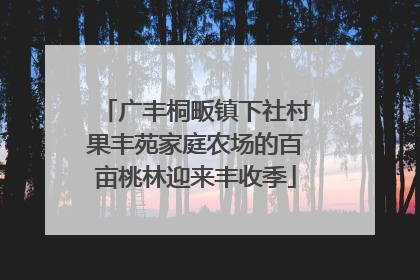 广丰桐畈镇下社村果丰苑家庭农场的百亩桃林迎来丰收季