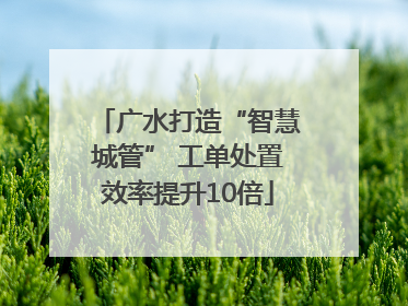 广水打造“智慧城管” 工单处置效率提升10倍