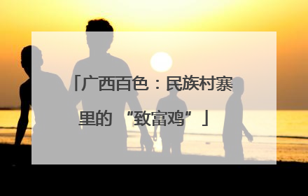 广西百色：民族村寨里的 “致富鸡”