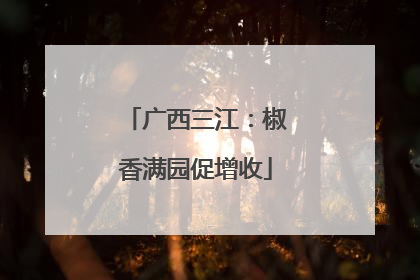 广西三江：椒香满园促增收