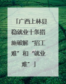 广西上林县稳就业十条措施破解“招工难”和“就业难”