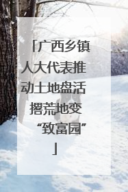 广西乡镇人大代表推动土地盘活 撂荒地变“致富园”