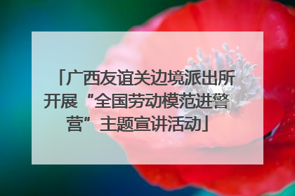 广西友谊关边境派出所开展“全国劳动模范进警营”主题宣讲活动
