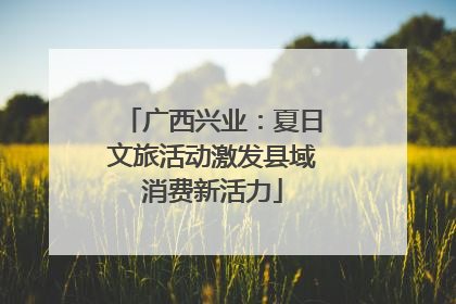 广西兴业：夏日文旅活动激发县域消费新活力