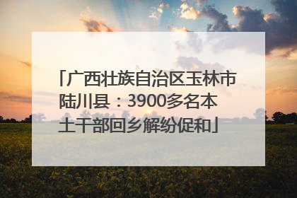 广西壮族自治区玉林市陆川县：3900多名本土干部回乡解纷促和