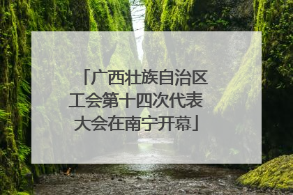 广西壮族自治区工会第十四次代表大会在南宁开幕