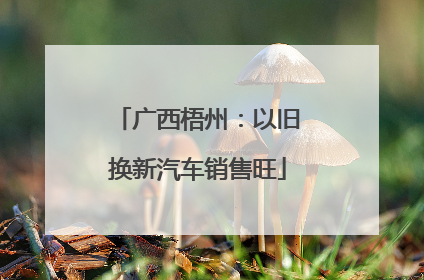 广西梧州：以旧换新汽车销售旺