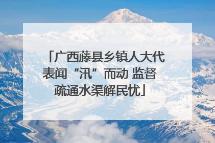 广西藤县乡镇人大代表闻“汛”而动 监督疏通水渠解民忧