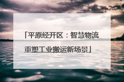 平原经开区：智慧物流重塑工业搬运新场景