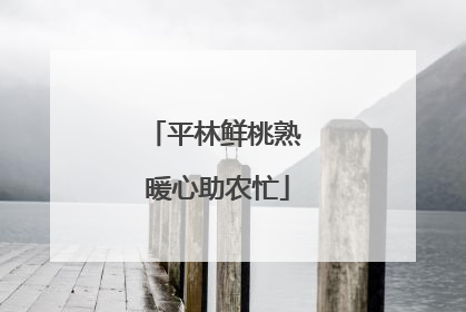 平林鲜桃熟 暖心助农忙