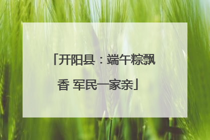 开阳县：端午粽飘香 军民一家亲
