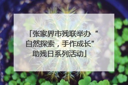 张家界市残联举办“自然探索，手作成长”助残日系列活动