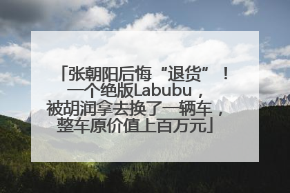 张朝阳后悔“退货”！一个绝版Labubu，被胡润拿去换了一辆车，整车原价值上百万元