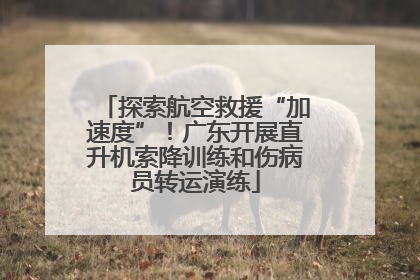 探索航空救援“加速度”！广东开展直升机索降训练和伤病员转运演练