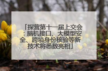 探营第十一届上交会：脑机接口、大模型安全、跨境身份核验等新技术将悉数亮相