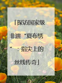 探访国家级非遗“夏布绣”：指尖上的丝线传奇