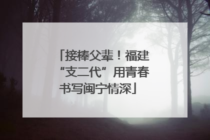 接棒父辈！福建“支二代”用青春书写闽宁情深