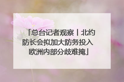 总台记者观察丨北约防长会拟加大防务投入 欧洲内部分歧难掩