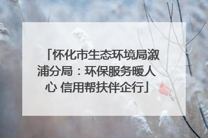 怀化市生态环境局溆浦分局：环保服务暖人心 信用帮扶伴企行