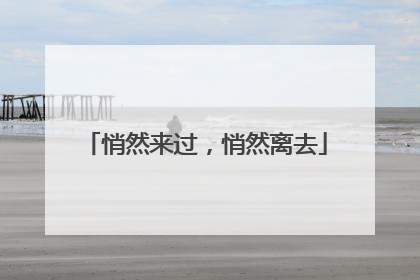 悄然来过，悄然离去