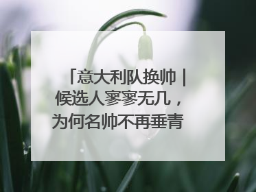 意大利队换帅｜候选人寥寥无几，为何名帅不再垂青“蓝衣军团”？