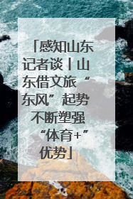 感知山东记者谈丨山东借文旅“东风”起势 不断塑强“体育+”优势