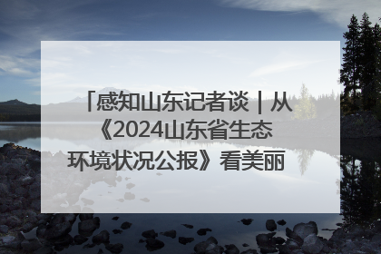 感知山东记者谈｜从《2024山东省生态环境状况公报》看美丽山东建设的“成绩单”与“任务书”