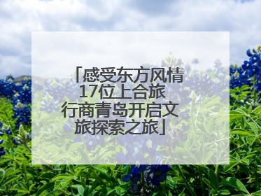 感受东方风情 17位上合旅行商青岛开启文旅探索之旅