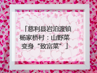 慈利县岩泊渡镇杨家桥村：山野菜变身“致富菜”