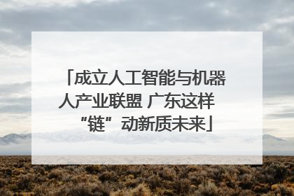 成立人工智能与机器人产业联盟 广东这样“链”动新质未来