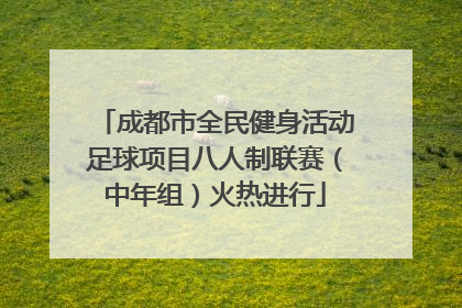 成都市全民健身活动足球项目八人制联赛（中年组）火热进行