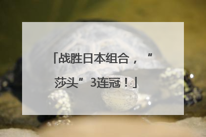 战胜日本组合，“莎头”3连冠！